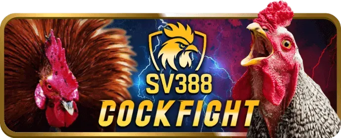 Giấy phép hoạt động ClubV